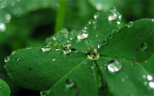 微信上发黄片是骗钱的吗,微信群聊如何进行安全防范措施?